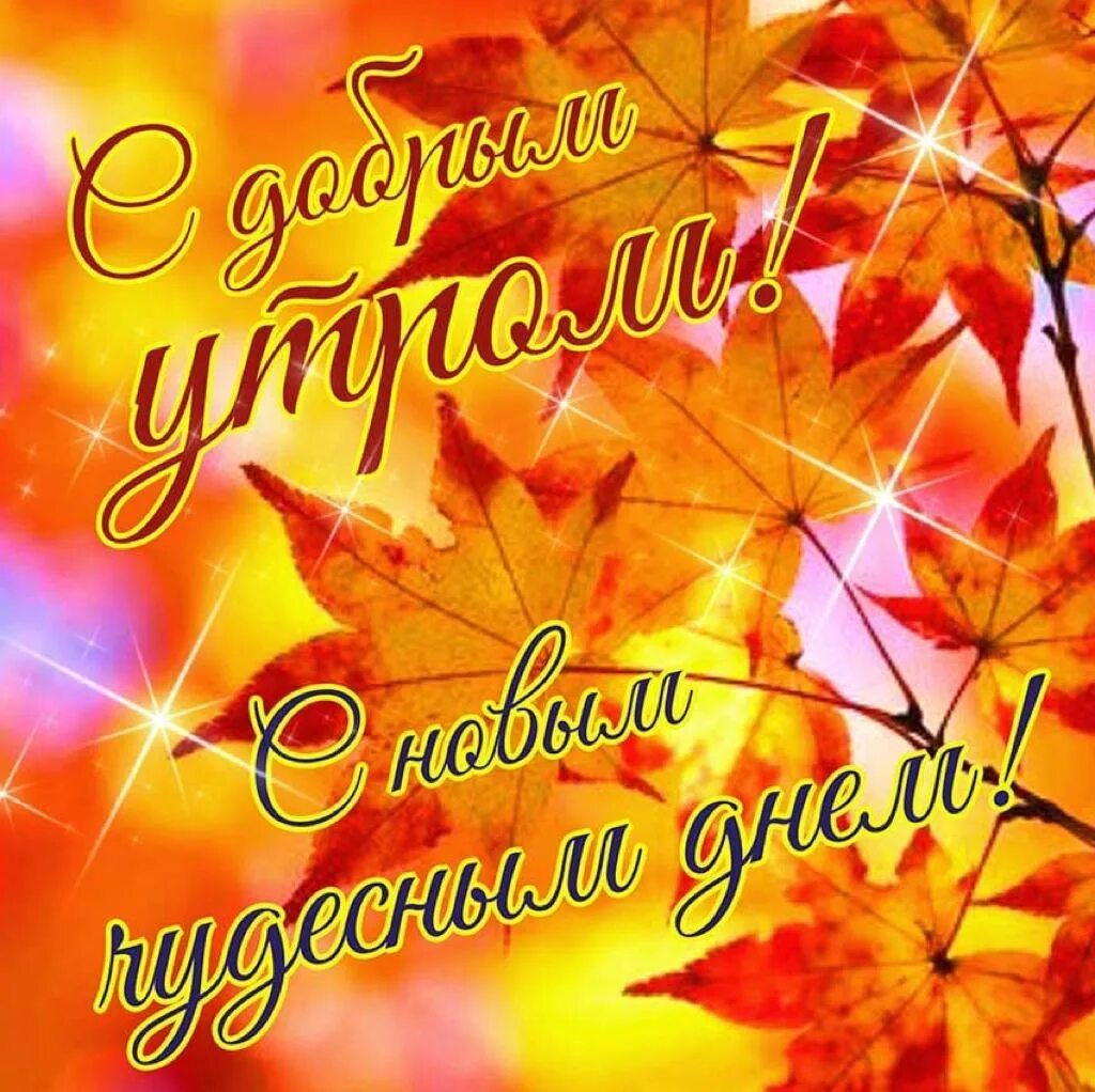 Картинки про осень хорошего дня #разное 2023 В лучах Чернолучья ВКонтакте