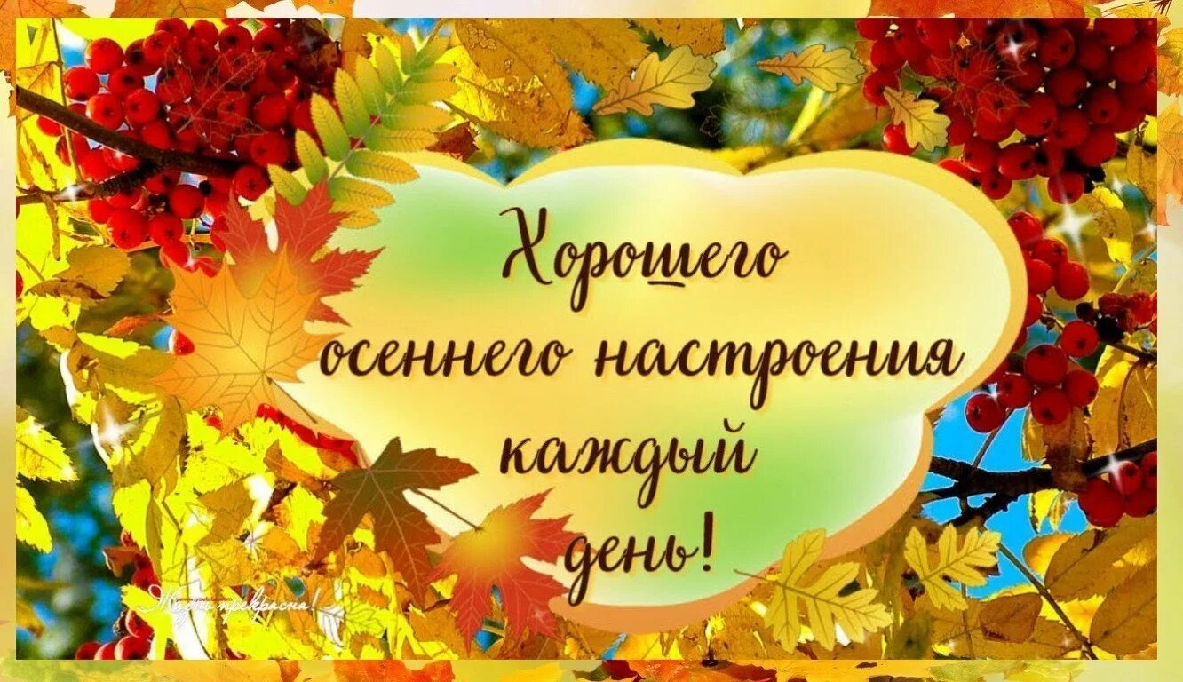 Картинки про осень хорошего дня Картинки ОСЕННИЕ ПОЗИТИВНЫЕ ПОЖЕЛАНИЯ