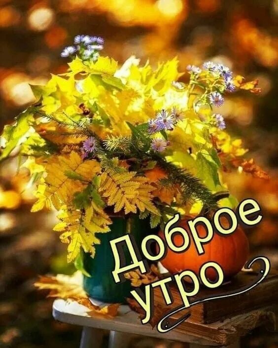 Картинки про осень хорошего дня Пин от пользователя Елена на доске доброе утро Доброе утро, Открытки, Праздничны