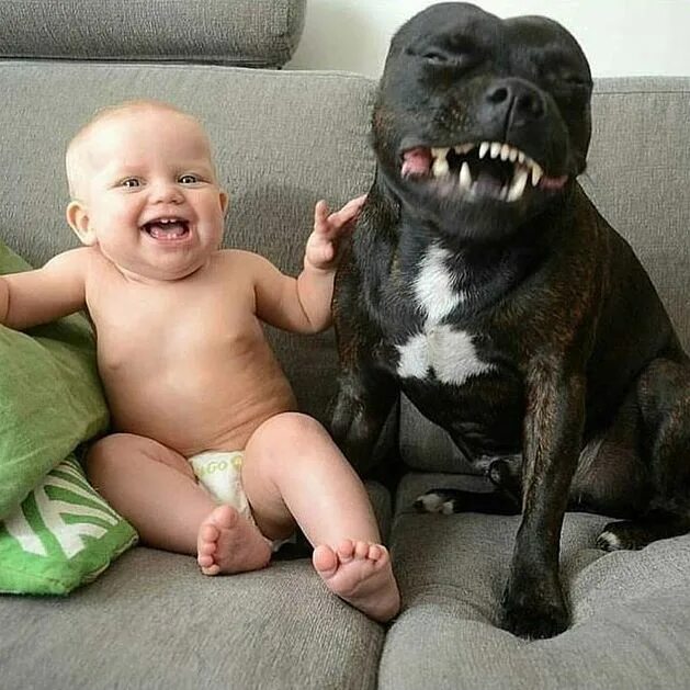 Картинки про животных до слез Pin en Amor animal