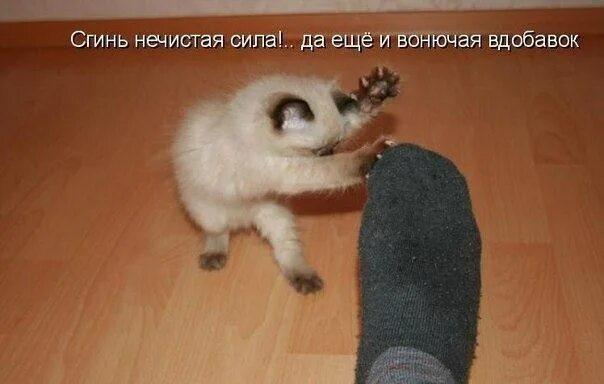 Картинки про животных до слез Фото на Fishki.net - стр.1367