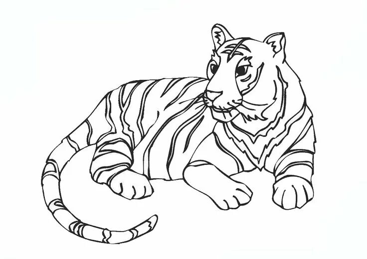 Картинки разукрашки животные hình con hổ Animal coloring pages, Coloring pages, Tiger cartoon drawing