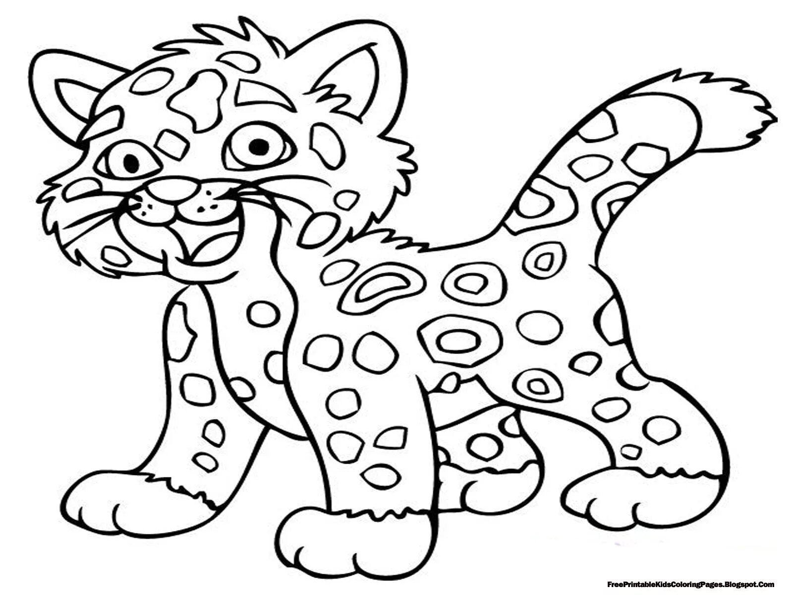 Картинки разукрашки животные endangered animals coloring pages - Clip Art Library