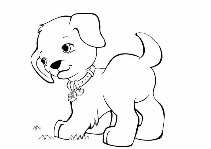 Картинки разукрашки животные דף צביעה עם גור כלב חמוד Puppy coloring pages, Coloring pages, Dogs and puppies