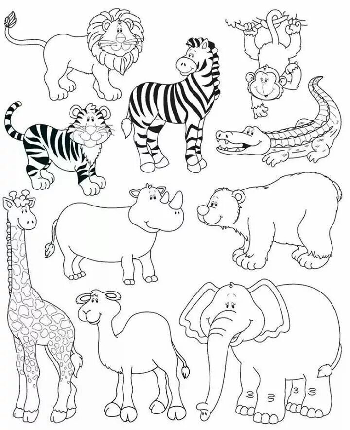 Картинки разукрашки животные Animales de la selva Zoo animal coloring pages, Animal coloring pages, Animal wo
