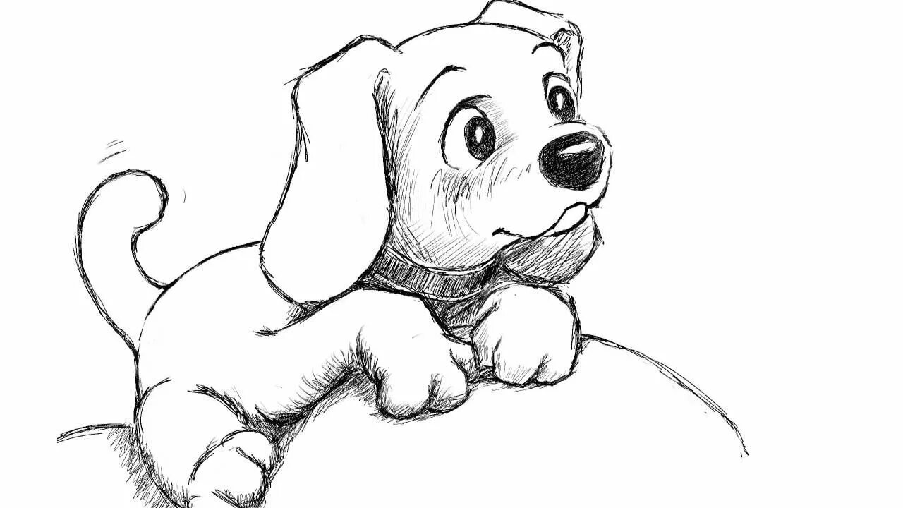 Картинки рисунков животных карандашом Pin on Art Ideas Cute dog drawing, Puppy drawing, Dog drawing