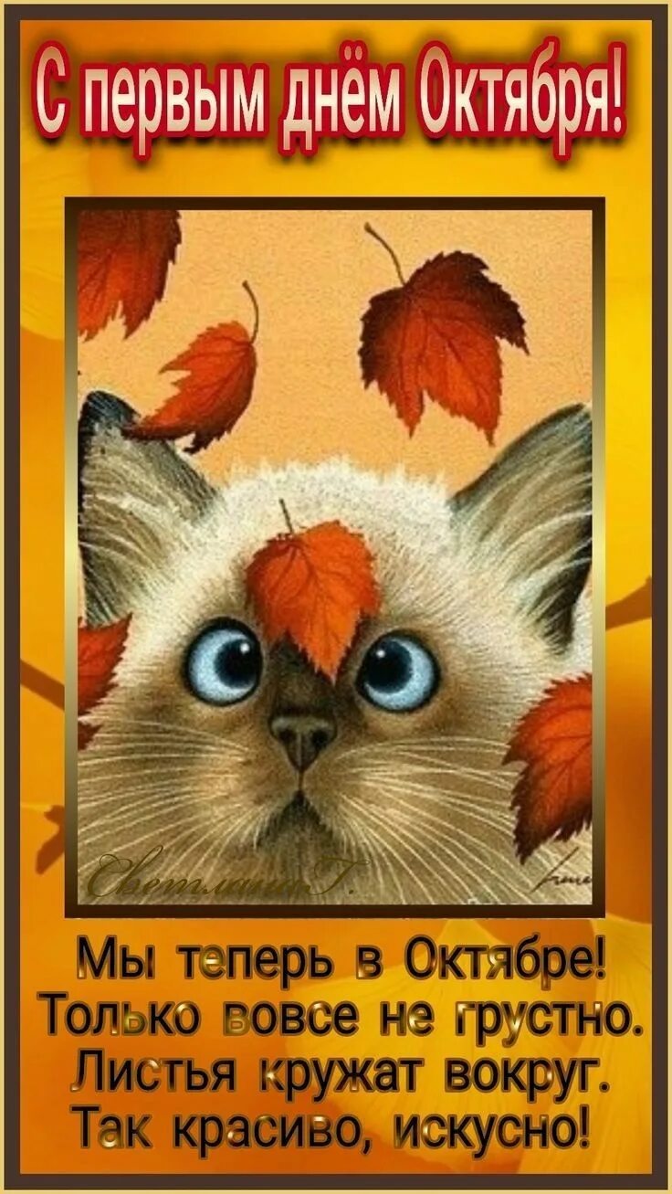 Картинки с 1 днем октября красивые прикольные Pin auf Words to live by Herbst bilder, Herbstbilder, Jahreszeiten
