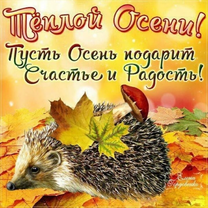 Картинки с 1 днем октября красивые прикольные Красивые поздравительные открытки с первым днем осени