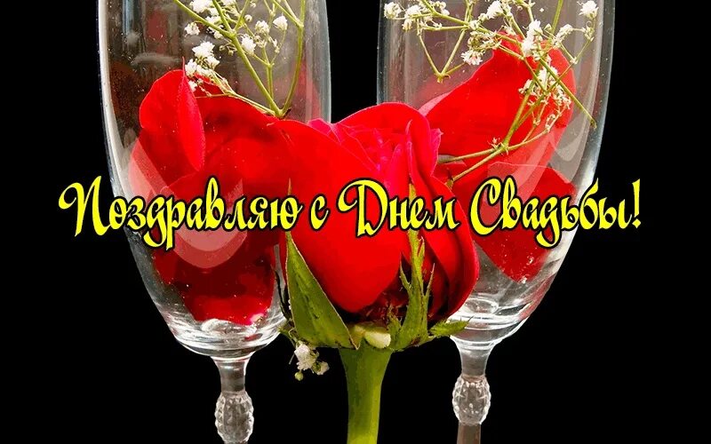 Картинки с 12 свадьбы Дорогие наши, любимые ! Сегодня очередная годовщина вашей свадьбы. За спиной 12 