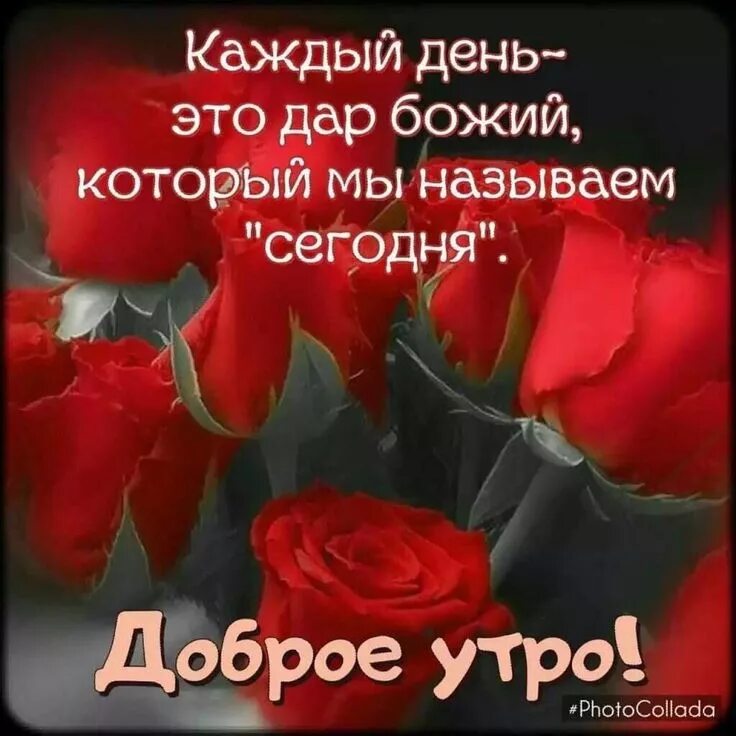 Картинки с божьими пожеланиями доброго и хорошего Пин от пользователя Лариса Волкова на доске Доброе утро Доброе утро, Христиански