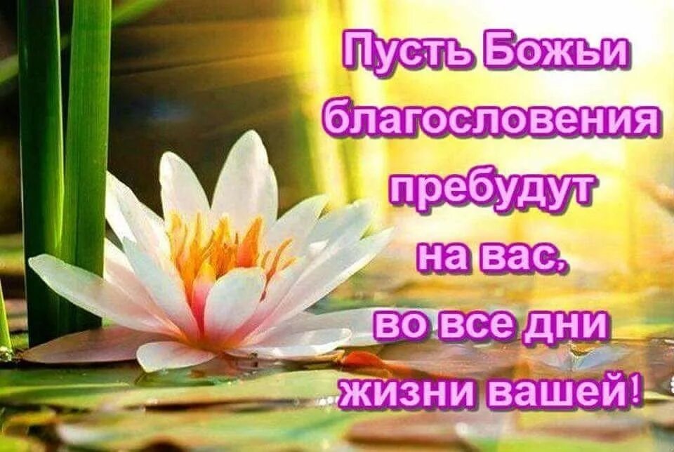 Картинки с божьими пожеланиями доброго и хорошего Доброе утро божий день картинки: найдено 83 изображений