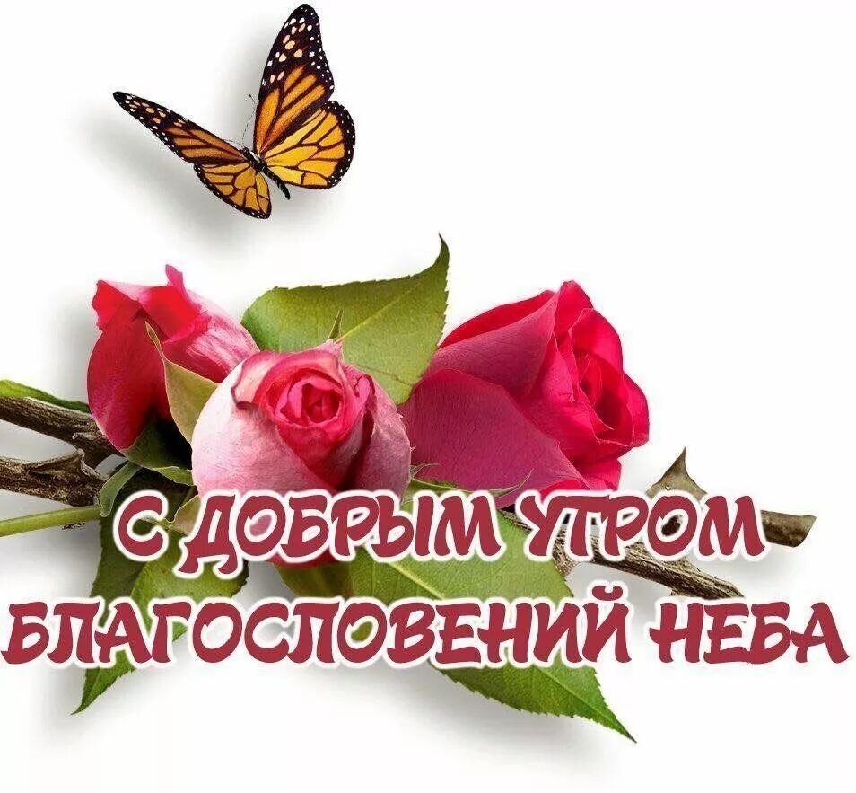Картинки с божьими пожеланиями доброго и хорошего Pin by Натали Григерман on А Доброе утро, привет,благословение, хорошего дня Pla