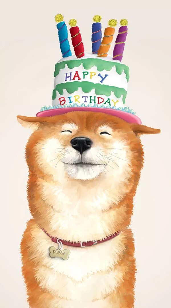 Картинки с дне рождения крутые Dog birthday Happy birthday greetings, Happy birthday wishes cards, Happy birthd