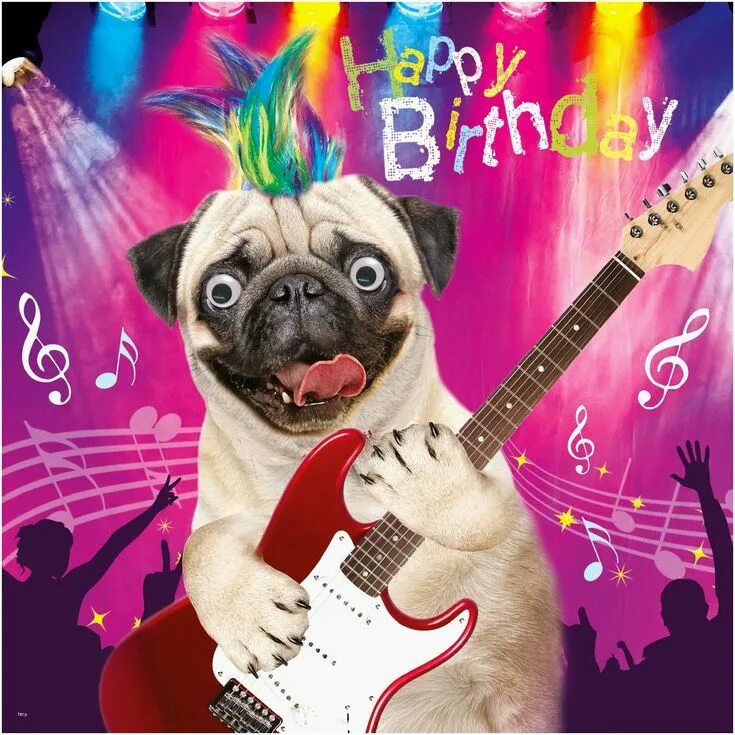 Картинки с дне рождения крутые Pin by Sonia Solis on Birthday Happy birthday pug, Happy birthday brother, Birth