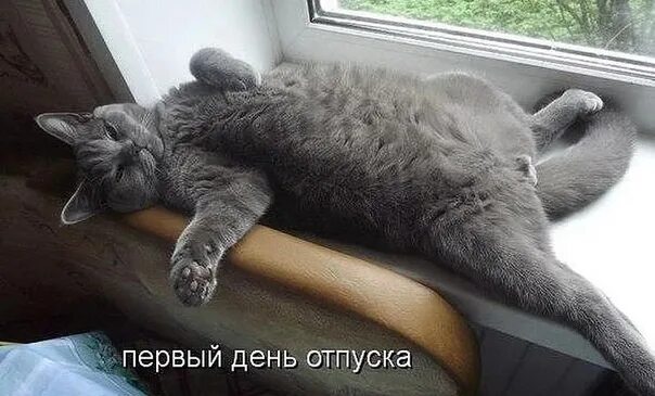 Картинки с днем отпуска прикольные мужчине She went on vacation this month and then calls from friends and relatives begin,