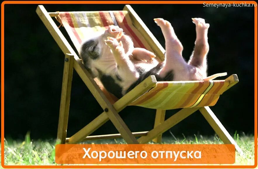 Картинки с днем отпуска прикольные мужчине Первый день отпуска приколы картинки: найдено 72 изображений