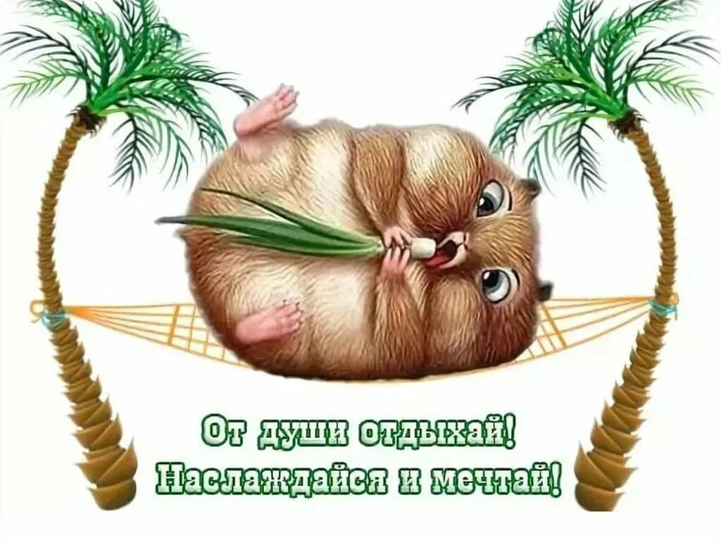 Картинки с днем отпуска прикольные мужчине Картинки для хорошего отпуска и отдыха (190) sopranoclub