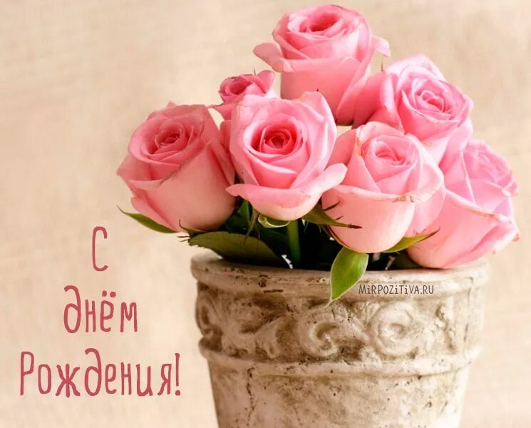 Картинки с днем рождения девушке цветы Похожее изображение Flower pots, Pink roses, Rose