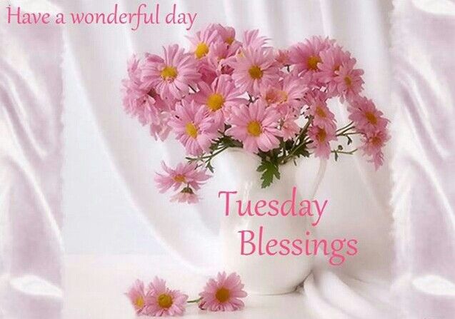 Картинки с днем рождения доченьки бесплатно Pin by Bridgette Wright on Tuesday Blessings/Greetings Pretty roses, Rose flower