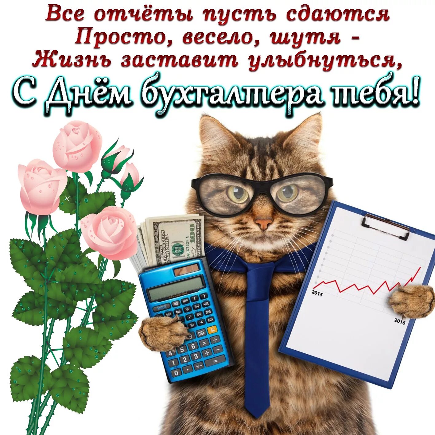 Картинки с днем рождения главного бухгалтера женщину Открытки День бухгалтера в Доме Солнца - Страница 3