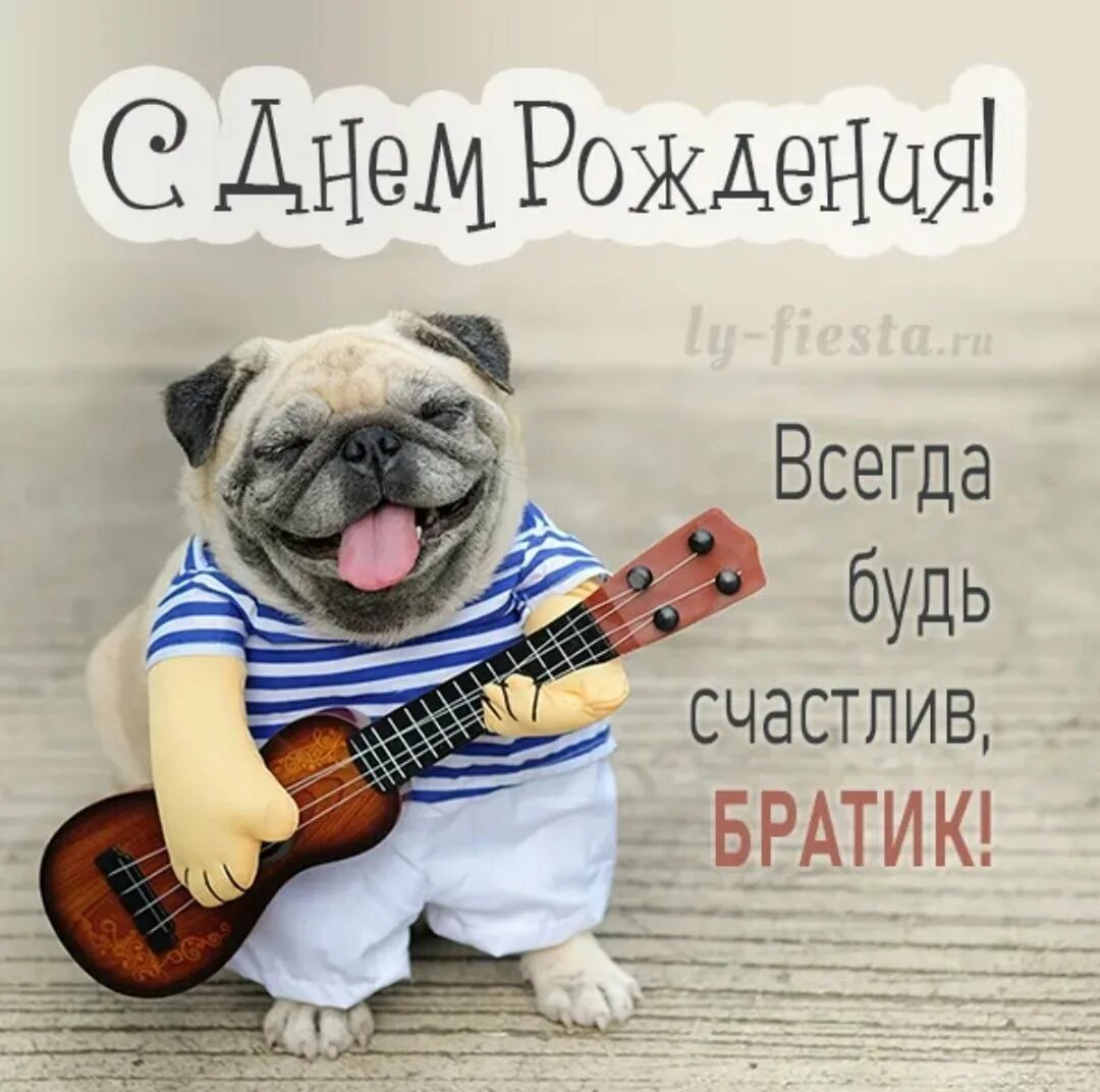 Картинки с днем рождения мужчине брату С днем рождения мужчине брату прикольные