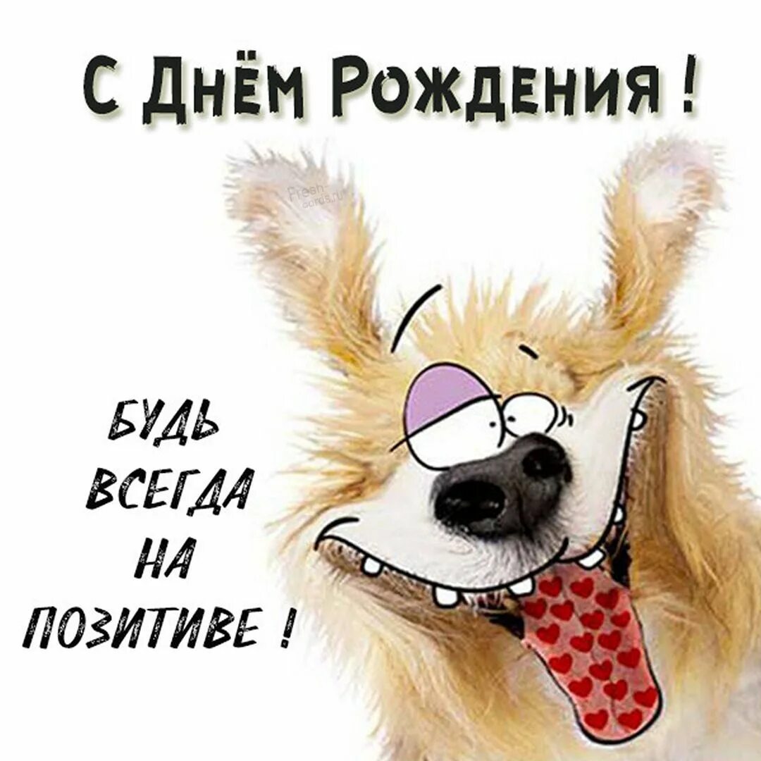 Картинки с днем рождения прикольные позитивные Красивые открытки и прикольные картинки с пожеланиями Happy birthday pictures, B