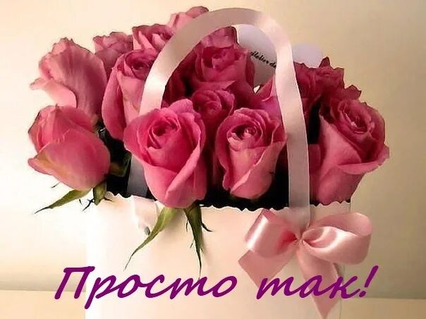 Картинки с днем рождения женщине 59 Нежные поздравления с днем рождения любимой: найдено 89 изображений