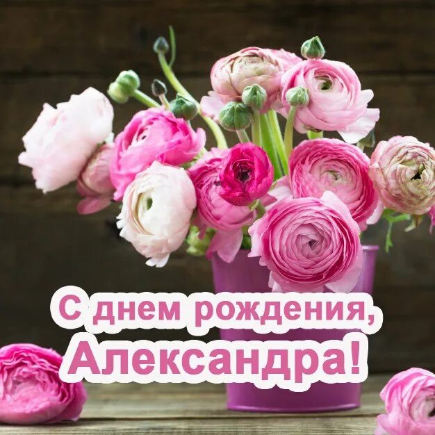 Картинки с днем рождения женщине александре ПРИВЕТСТВИЯ и ПОЖЕЛАНИЯ, открытки на каждый день. опубликовал пост от 17 декабря