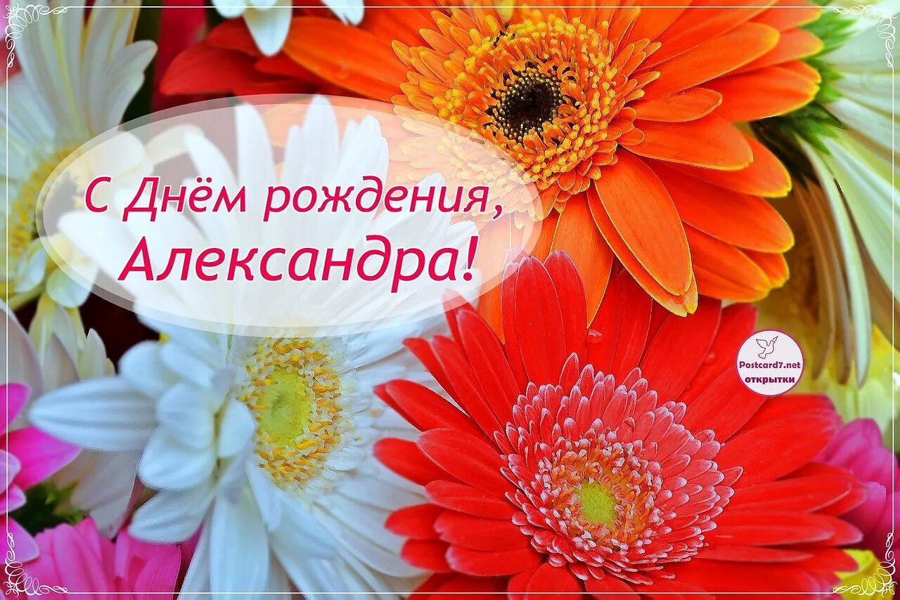 Картинки с днем рождения женщине александре ПРИВЕТСТВИЯ и ПОЖЕЛАНИЯ, открытки на каждый день. опубликовал пост от 17 декабря