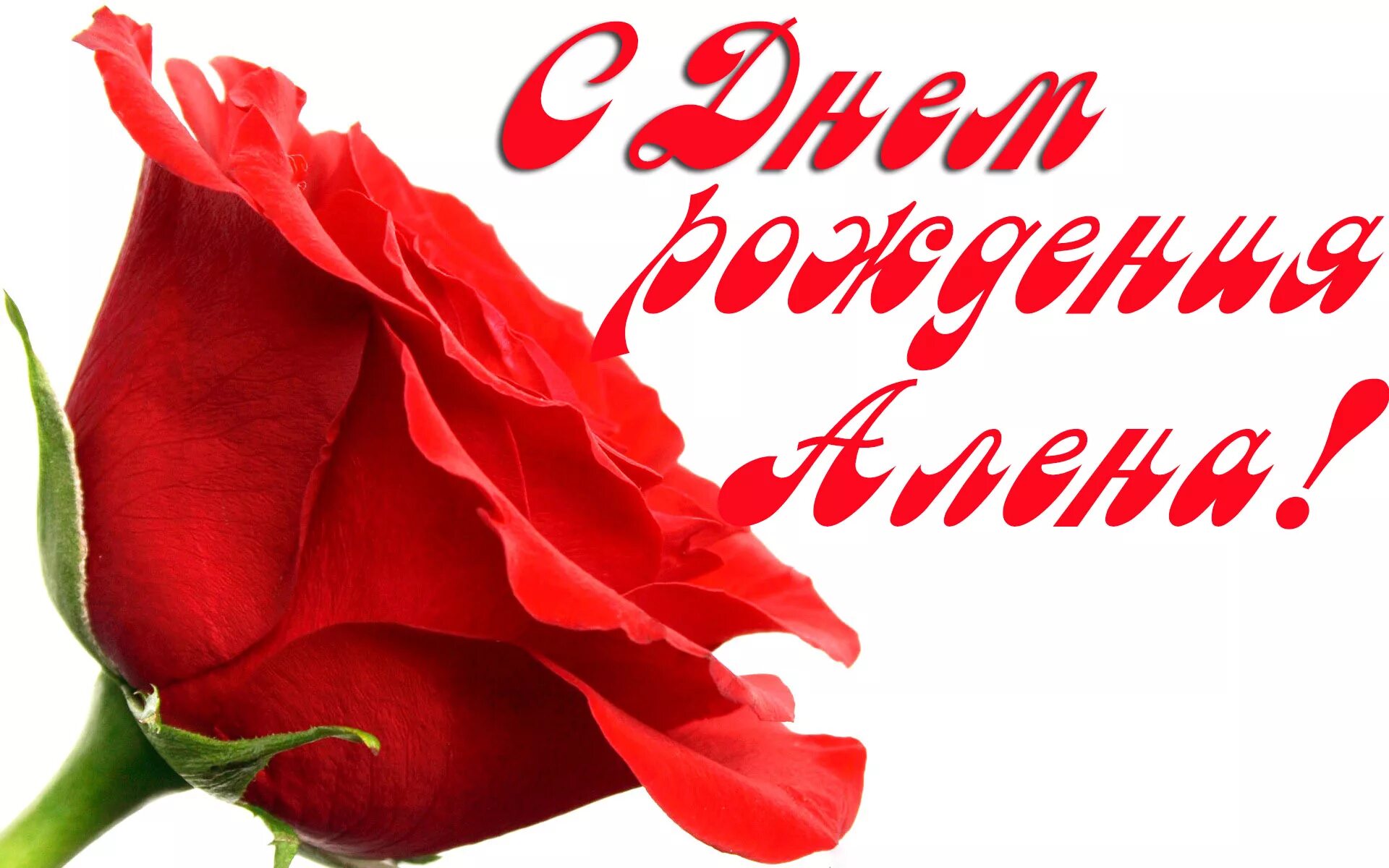Картинки с днем рождения женщине красивые алена С днем рождения, Алёна! Красивые поздравления с днем рождения Алёнке в стихах и 