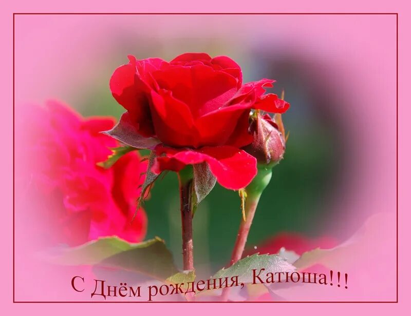 Картинки с днем рождения женщине красивые катя Катю, с днём рождения! (Лапина Ольга Валерьевна) / Стихи.ру