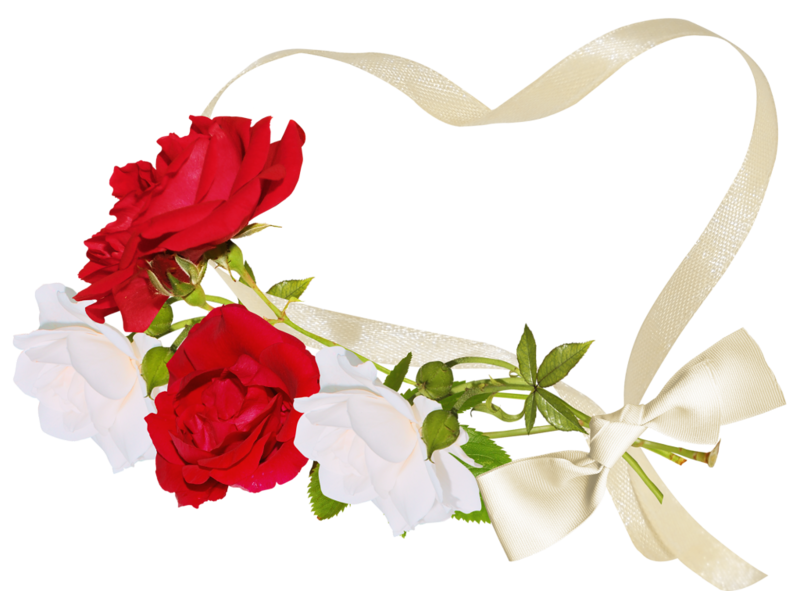 Картинки с днем рождения женщине красивые лида Rosé png, White rose png, Clip art