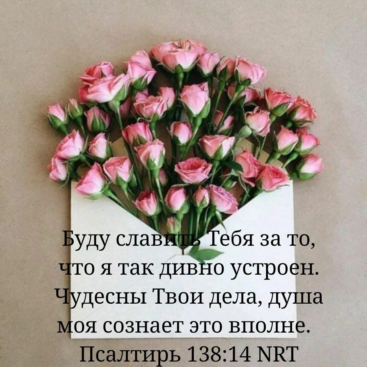 Картинки с днем рождения женщине подруге Pin op Псалтирь