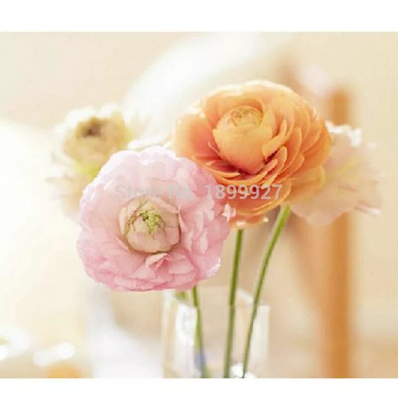 Картинки с днем рождения женщине подруге ใ ห ม ่Diy 5d เ พ ช ร ป ก ด อ ก ไ ม ร ป ภ า พ ก ำ แ พ ง เ พ
