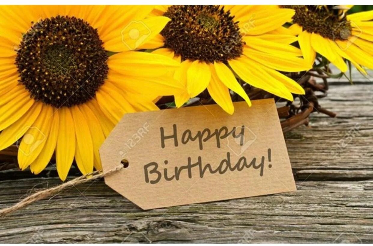 Картинки с днем рождения женщине подсолнухи Pin by Dettie on Happy Birthday Happy birthday sunflower, Happy birthday in fren