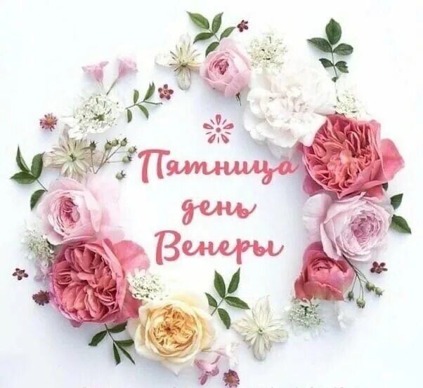 Картинки с днем рождения женщине венера Телесная терапия, body therapy, Tula, Lenina Avenue, 108 - Yandex Maps