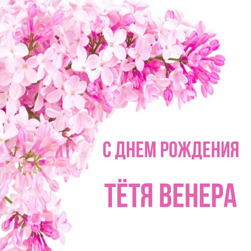 Картинки с днем рождения женщине венера Открытка с именем Тётя Венера С днем рождения картинки. Открытки на каждый день 