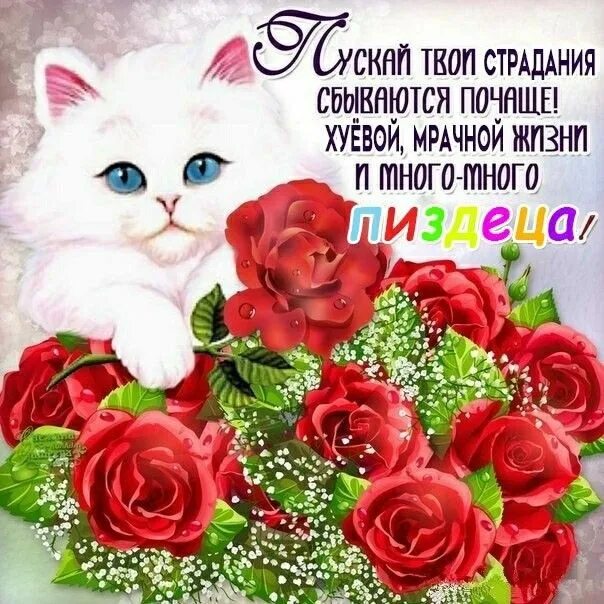 Картинки с днем счастья красивые пожеланиями Пин от пользователя Mary на доске мемесы Мемы, С днем рождения, Рабочие мемы