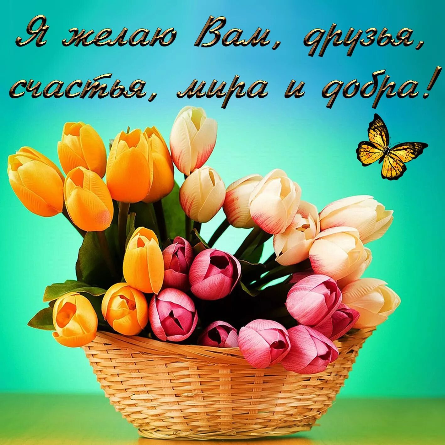 Картинки с днем счастья красивые пожеланиями С днем счастья радости: найдено 81 изображений