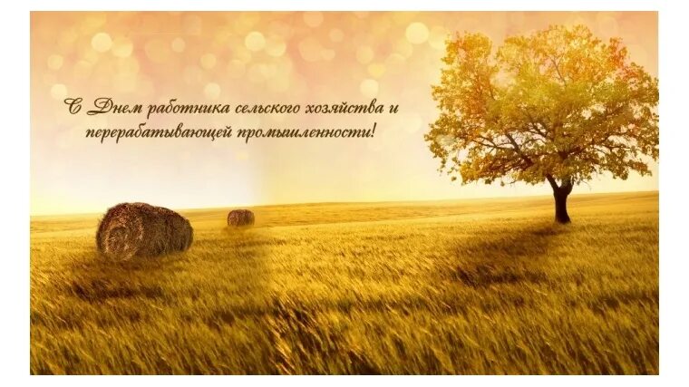 Картинки с днем сх работника Филиал федерального государственного бюджетного учреждения "Российский сельскохо