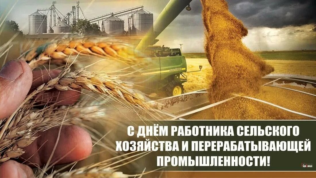 Картинки с днем сх работника 08 Октября 2023 - Официальный сайт Тяжинского муниципального округа
