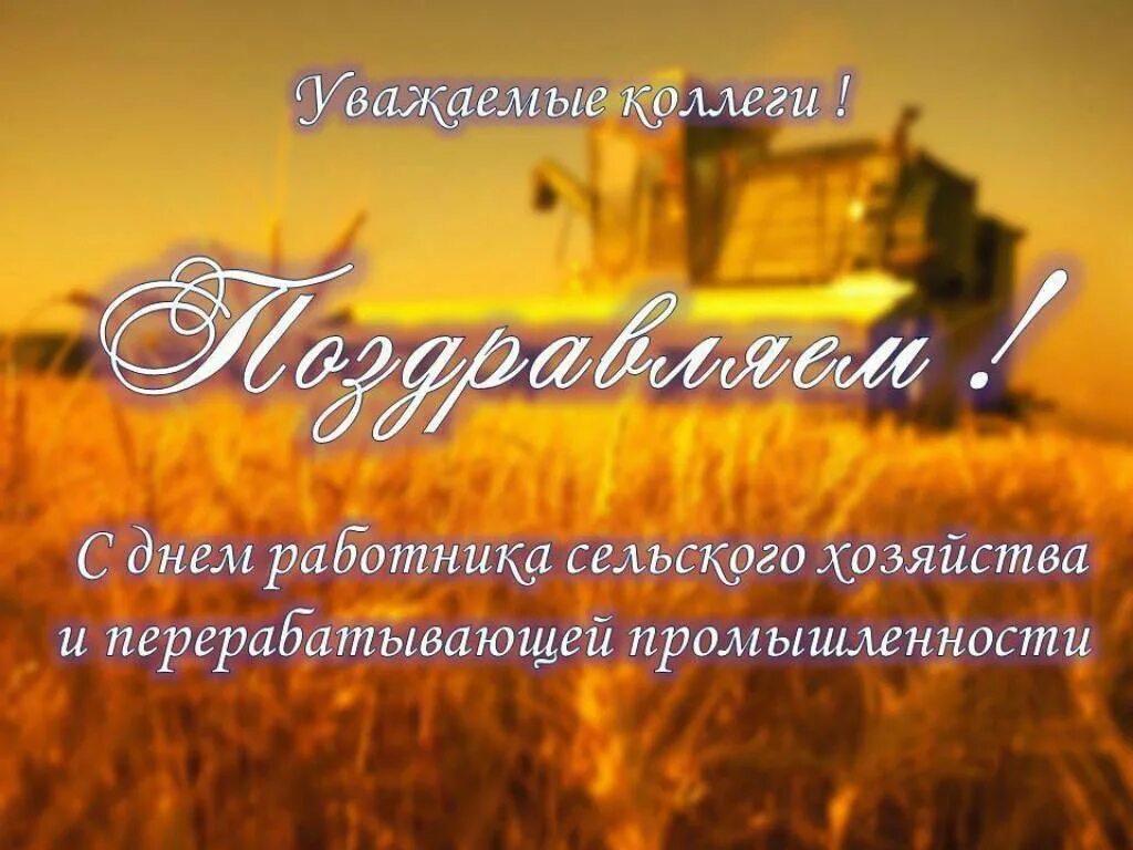 Картинки с днем сх работника Поздравление Руслана Пашаева с Днём работника сельского хозяйства и перерабатыва