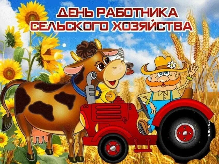 Картинки с днем сх работника День работников сельского хозяйства. Раздача поздравительных открыток. 2023, Кук