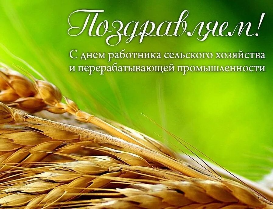 Картинки с днем сх работника Общая новостная лента