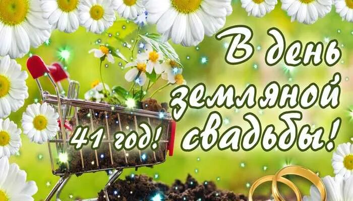 Картинки с днем свадьбы 41 год 41 год со дня свадьбы