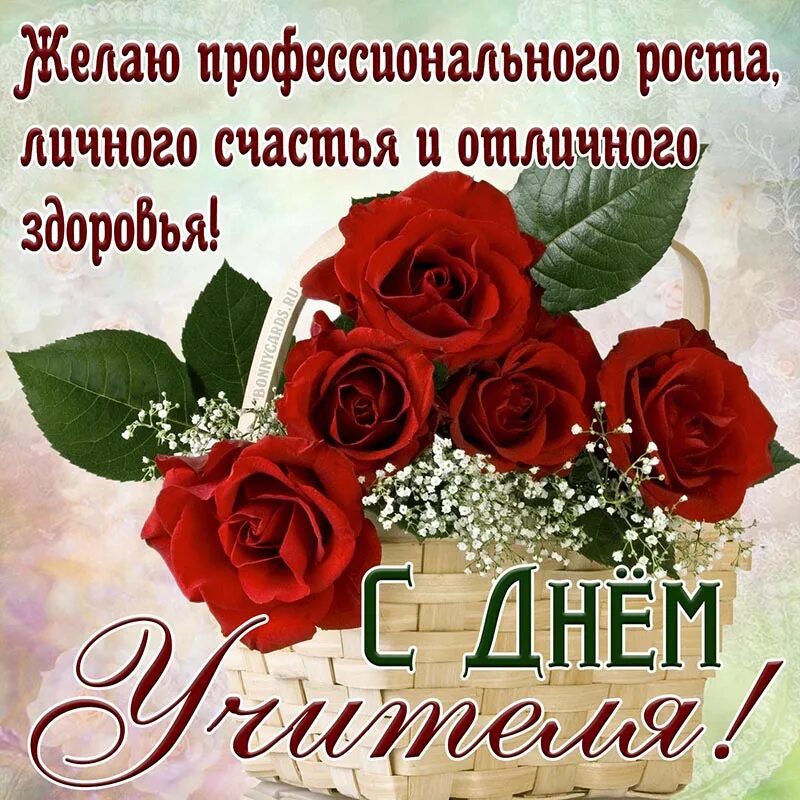 Картинки с днем учителя красивые татьяне николаевне Милые коллеги, с Днем Учителя! С нашим праздником поздравляю я вас!