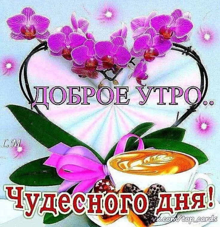 Картинки с добром утром прекрасным днем Pin de Жанна en Доброе утро Saludos de buenos dias, Buenos días saludos, Emotico