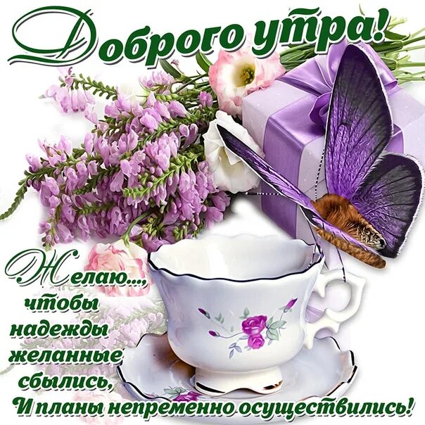 Картинки с добром утром прекрасным днем Everyone with good morning ! 2022 С Добрым утром! VK