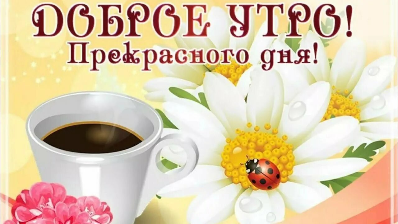 Картинки с добром утром прекрасным днем Доброго Утра. Красивое Пожелание С добрым Утром - YouTube