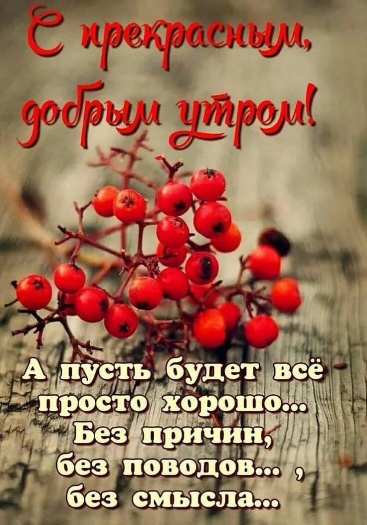 Картинки с добрым философские позитивные Pin on Доброе утро Good morning greetings, Good morning photos, Happy birthday v